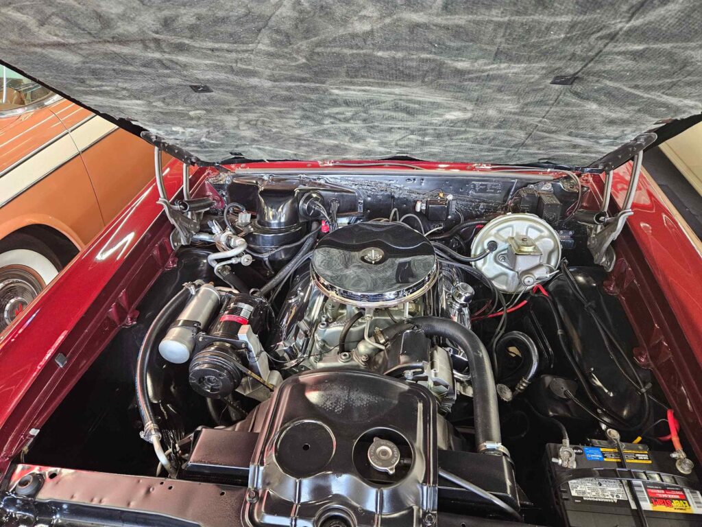 67gto29