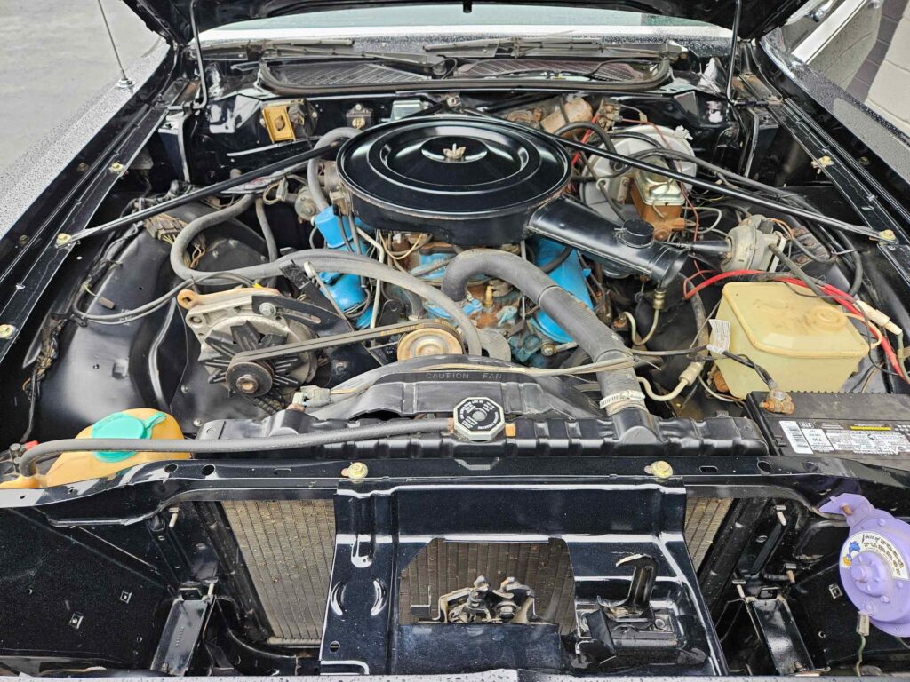 75rr54